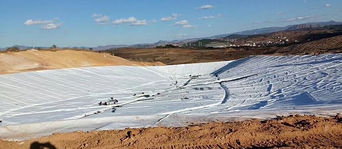 hdpe composite geomembrane liner