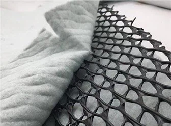 Trodimenzionalni spoj Geonet